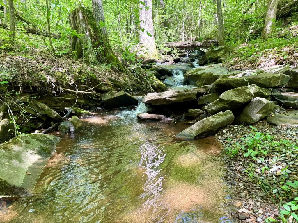 0 Co Road 619 Hanceville AL 35077