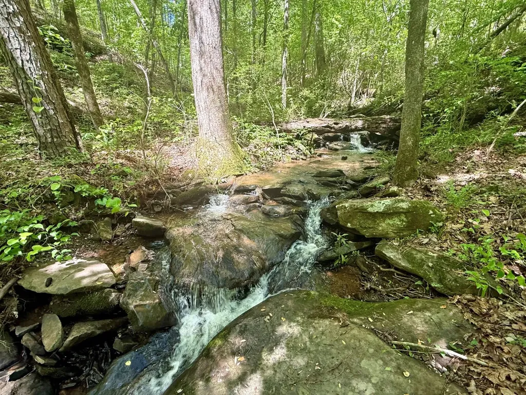 0 Co Road 619 Hanceville AL 35077