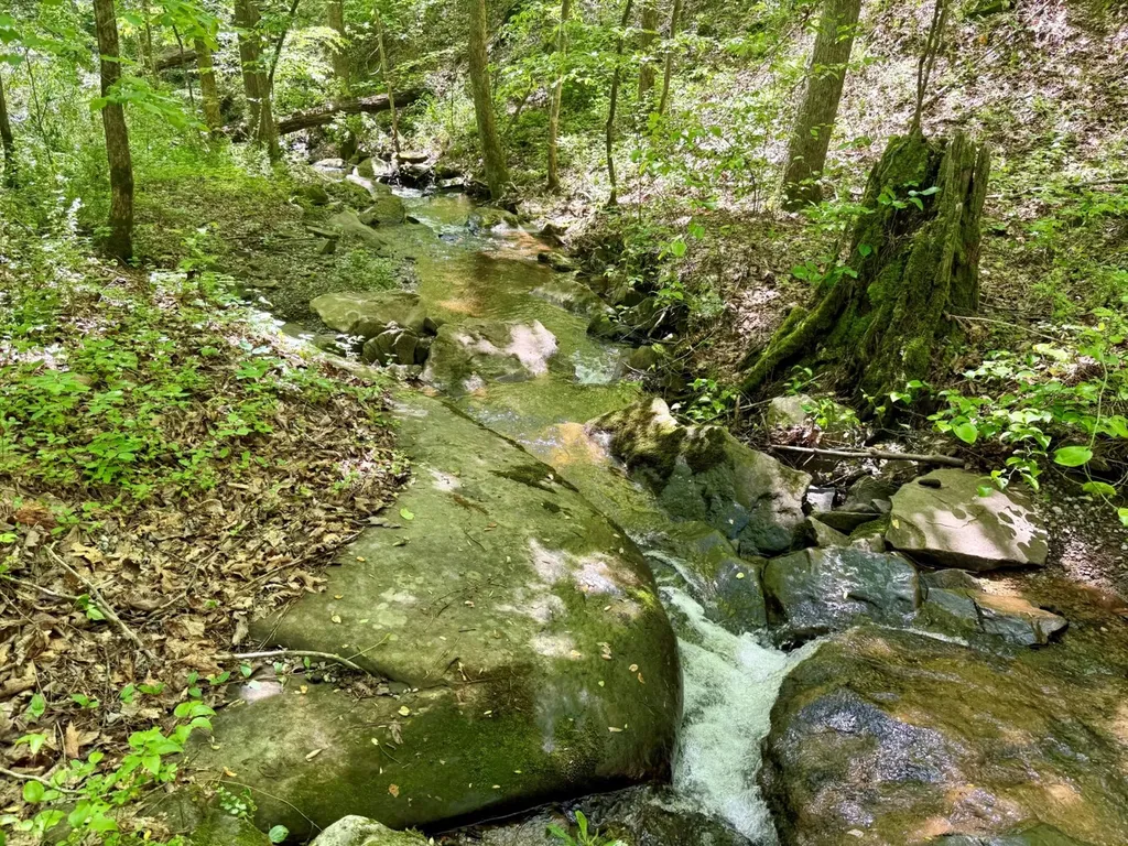 0 Co Road 619 Hanceville AL 35077