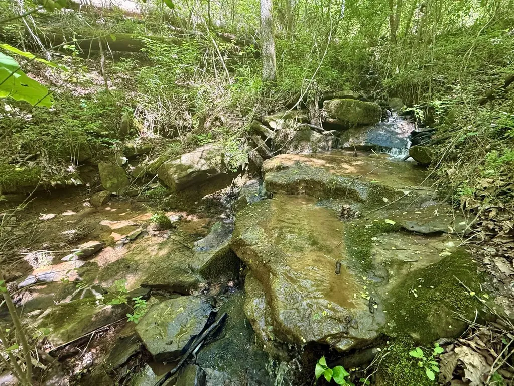 0 Co Road 619 Hanceville AL 35077