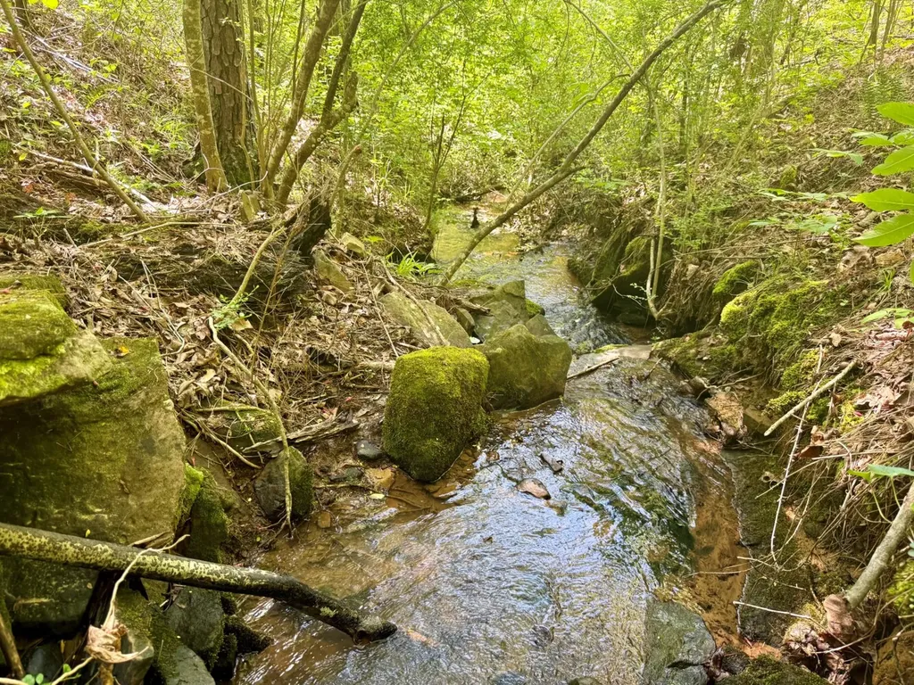 0 Co Road 619 Hanceville AL 35077