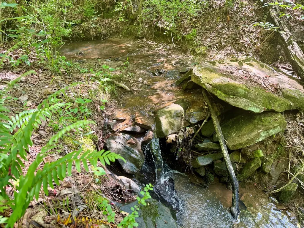 0 Co Road 619 Hanceville AL 35077