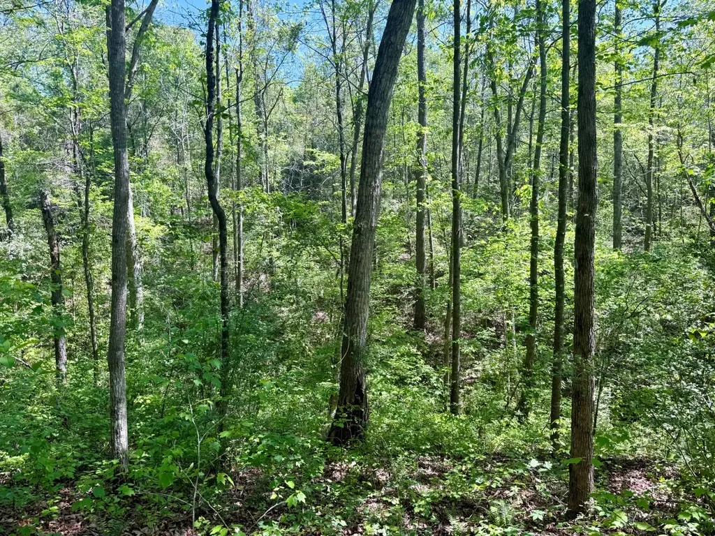 0 Co Road 619 Hanceville AL 35077