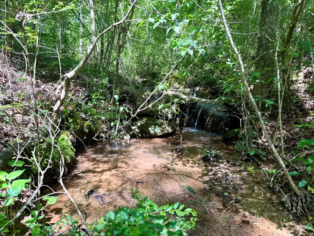 0 Co Road 619 Hanceville AL 35077