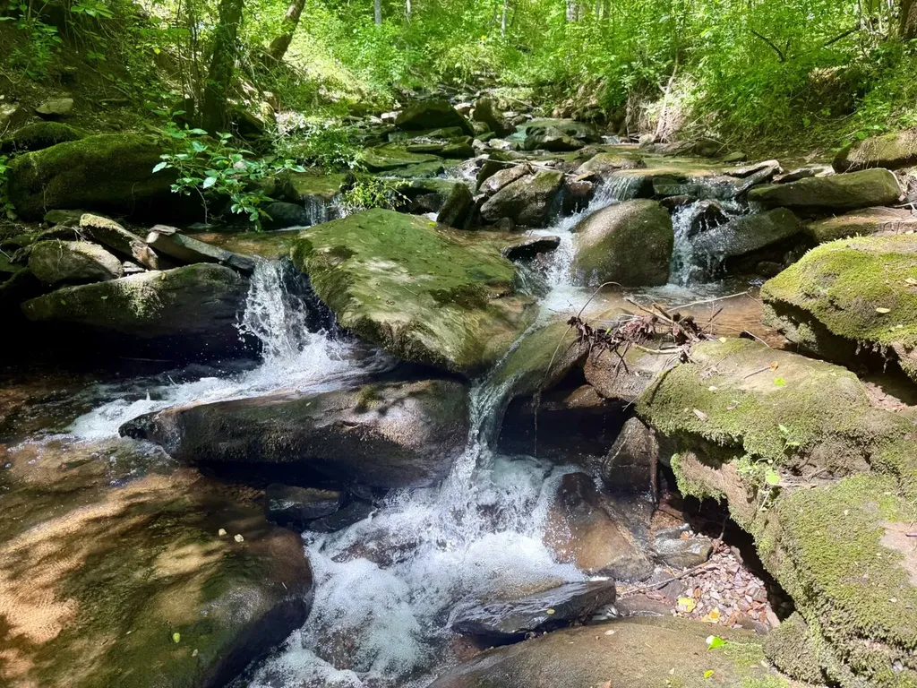 0 Co Road 619 Hanceville AL 35077