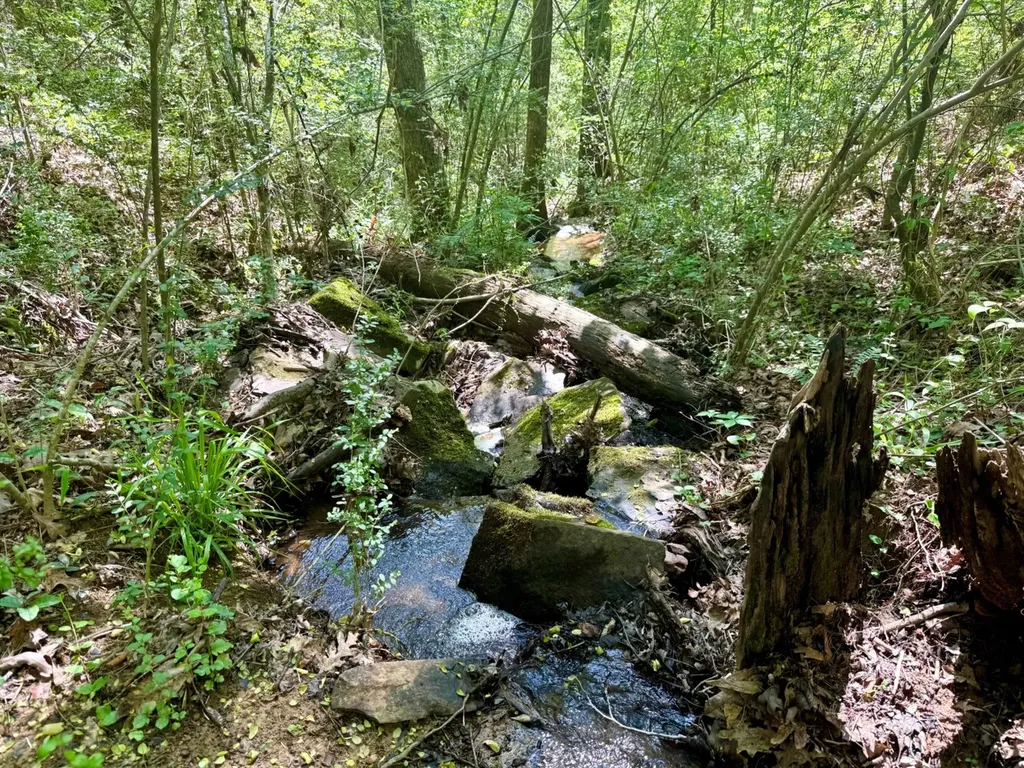 0 Co Road 619 Hanceville AL 35077