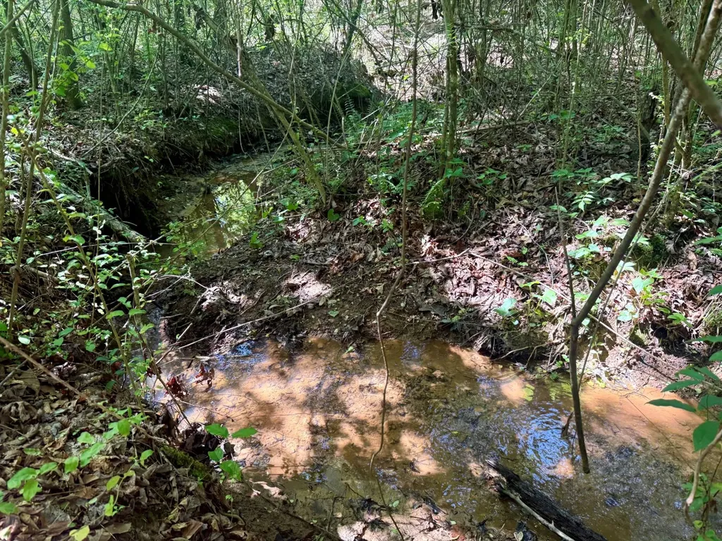 0 Co Road 619 Hanceville AL 35077