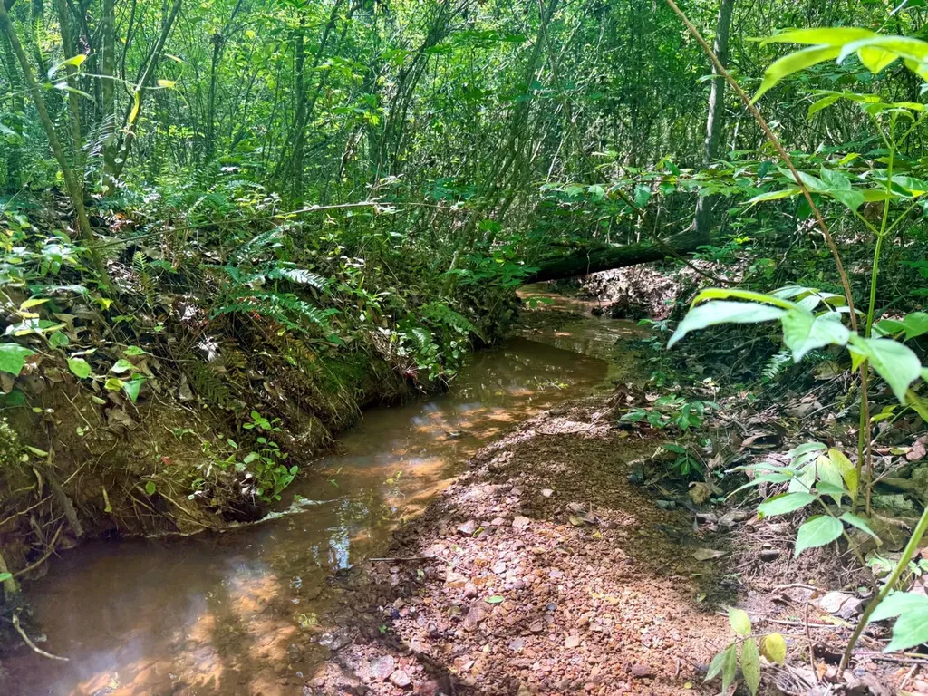 0 Co Road 619 Hanceville AL 35077