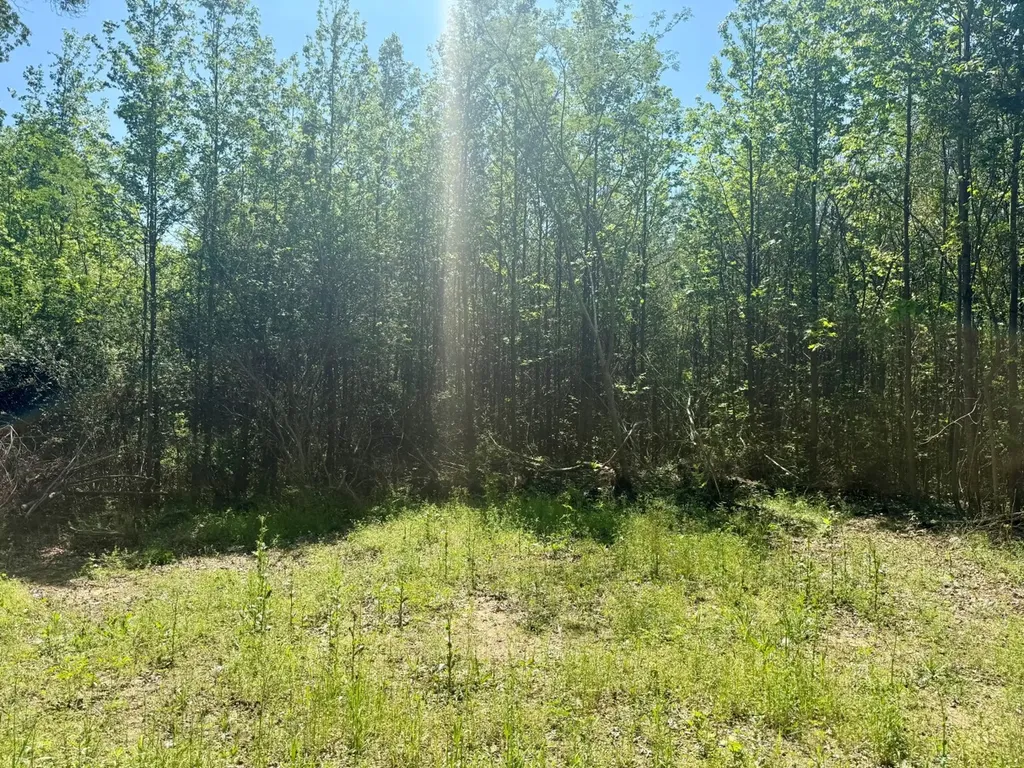 0 Co Road 619 Hanceville AL 35077