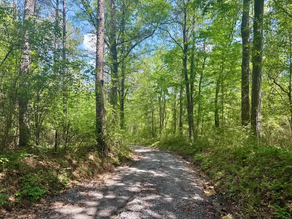 0 Co Road 619 Hanceville AL 35077