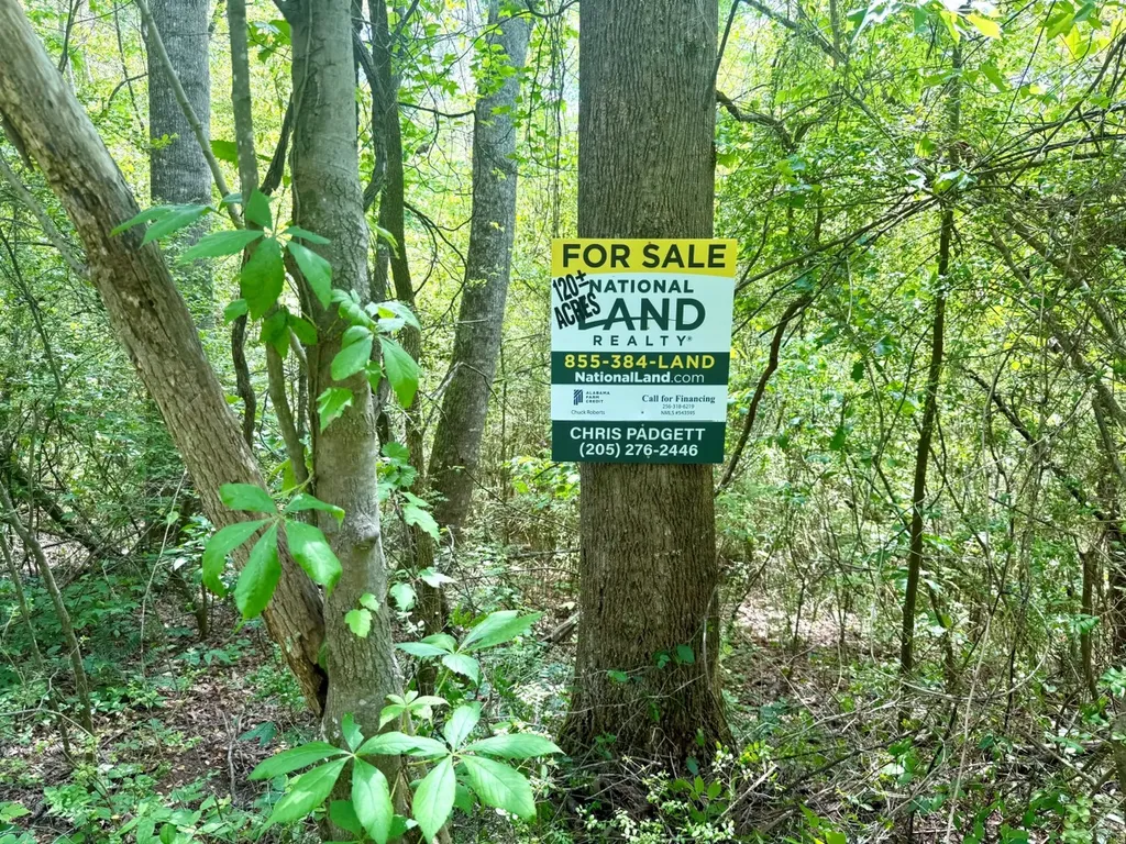 0 Co Road 619 Hanceville AL 35077