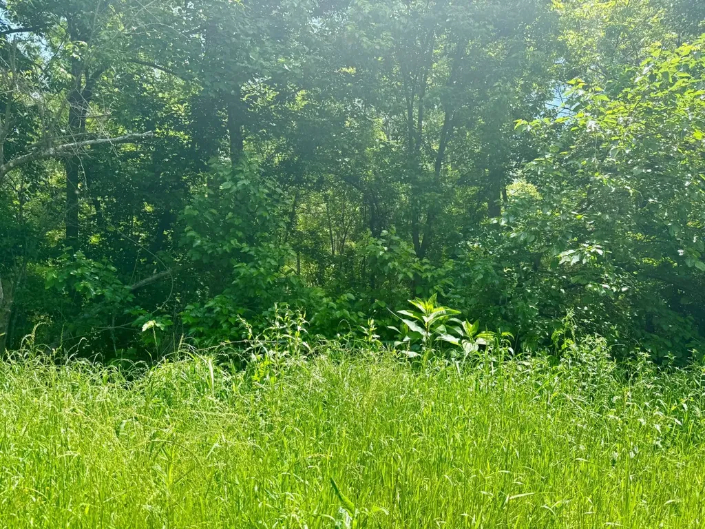 0 Co Road 619 Hanceville AL 35077