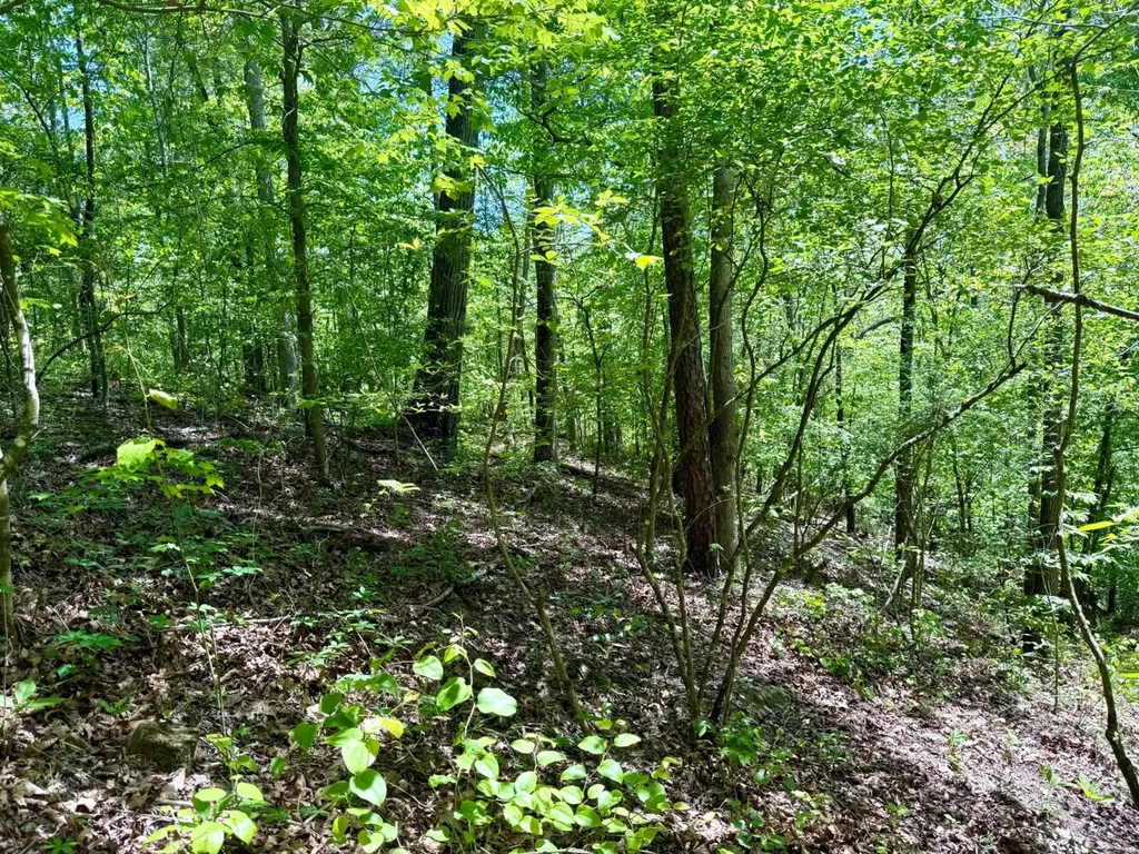 0 Co Road 619 Hanceville AL 35077