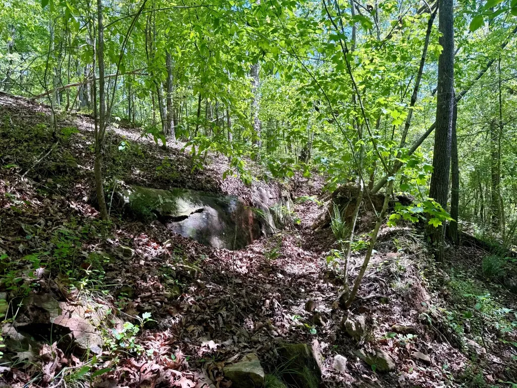 0 Co Road 619 Hanceville AL 35077