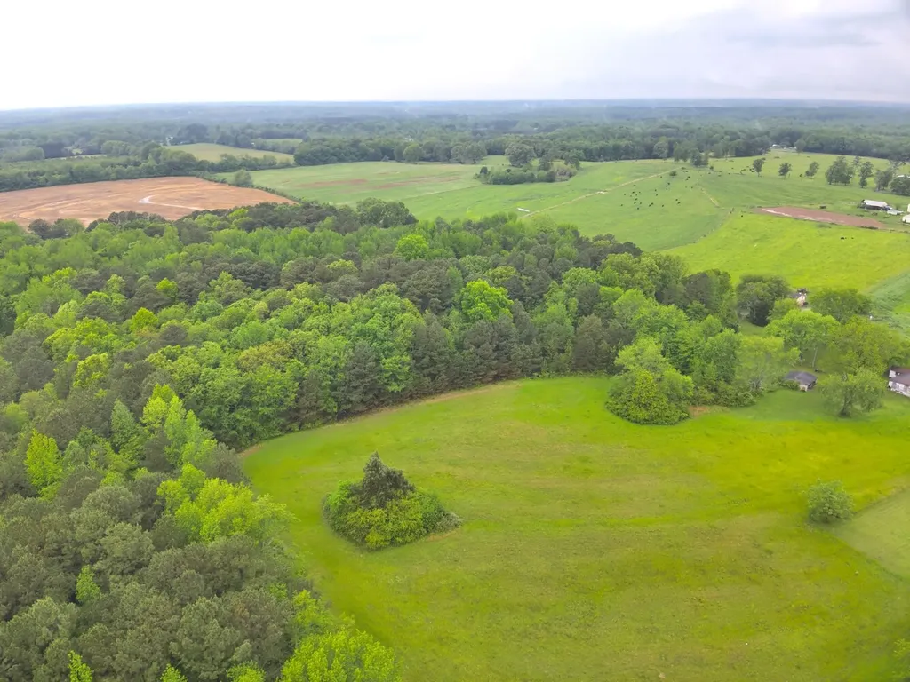 9610 Wall Triana Highway Harvest AL 35749