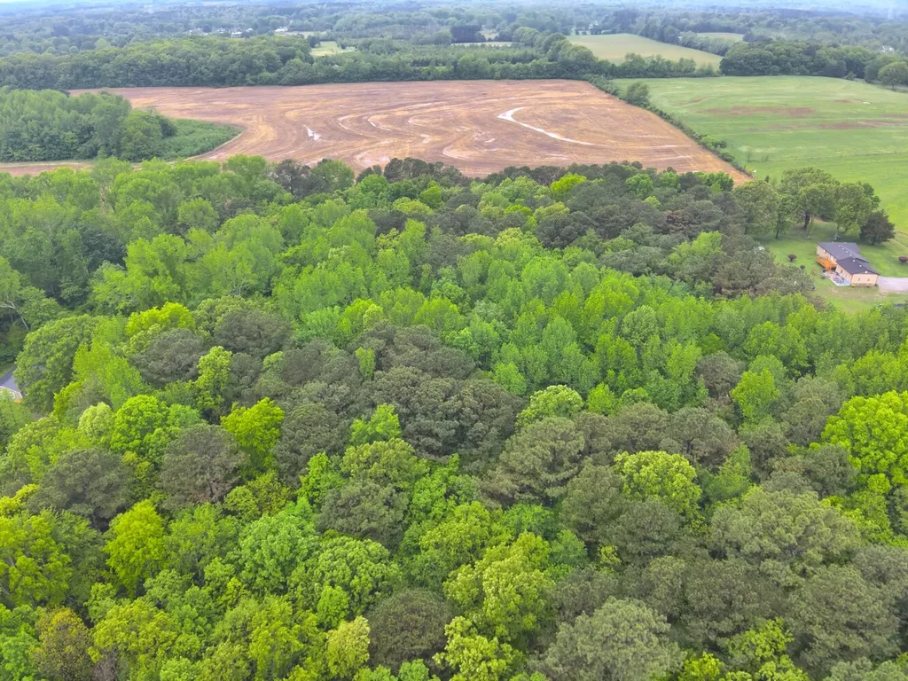 9610 Wall Triana Highway Harvest AL 35749