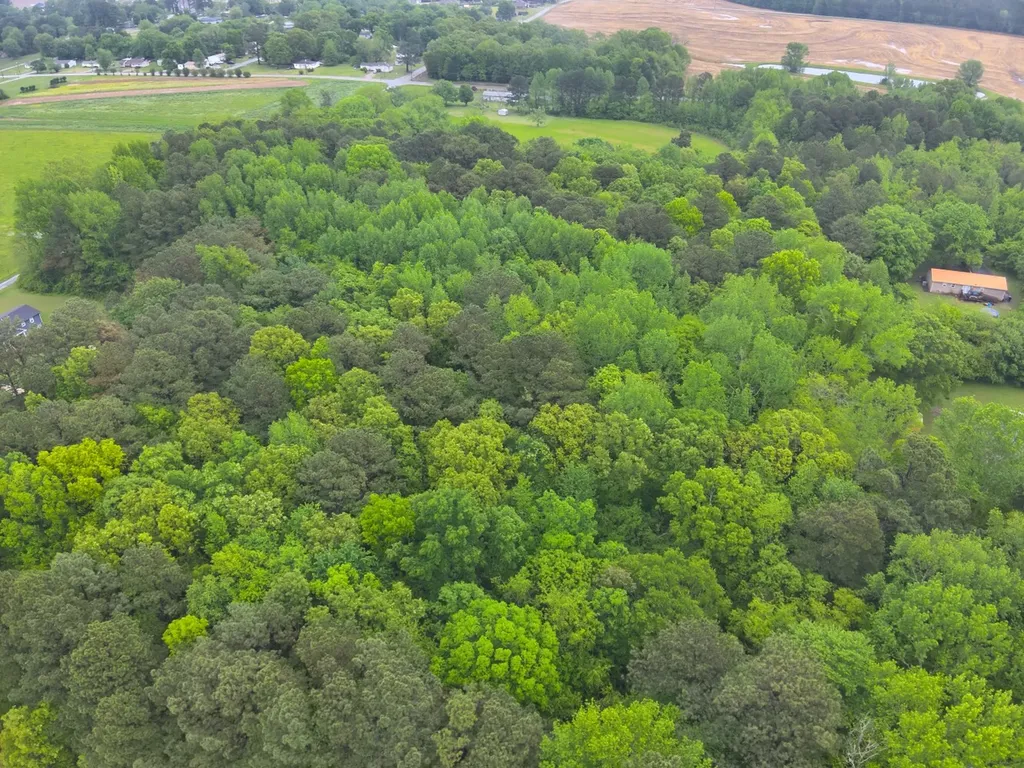 9610 Wall Triana Highway Harvest AL 35749