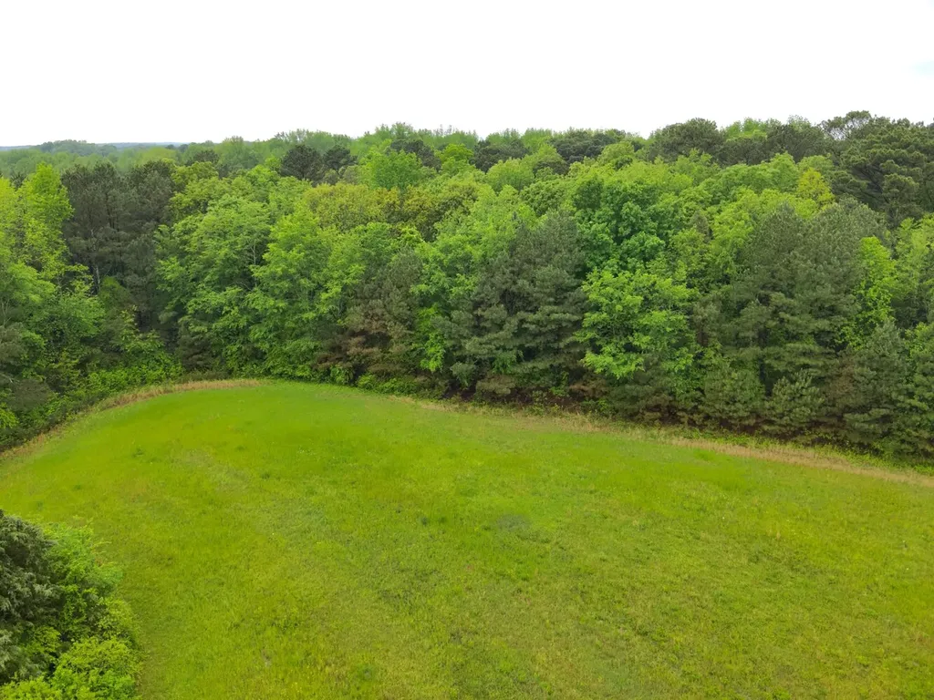 9610 Wall Triana Highway Harvest AL 35749