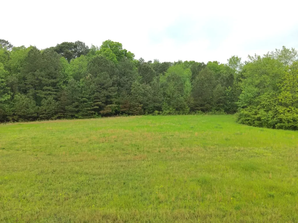 9610 Wall Triana Highway Harvest AL 35749