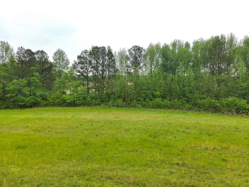 9610 Wall Triana Highway Harvest AL 35749