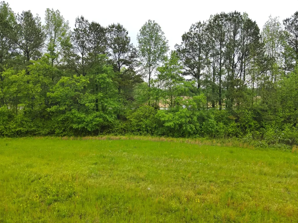 9610 Wall Triana Highway Harvest AL 35749