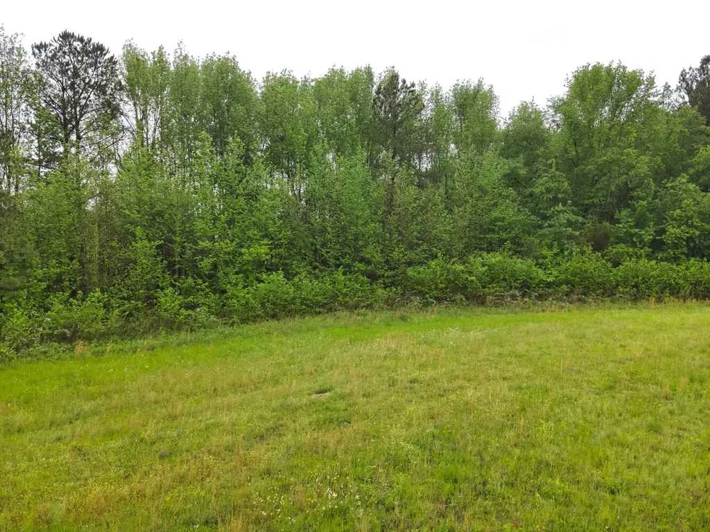 9610 Wall Triana Highway Harvest AL 35749