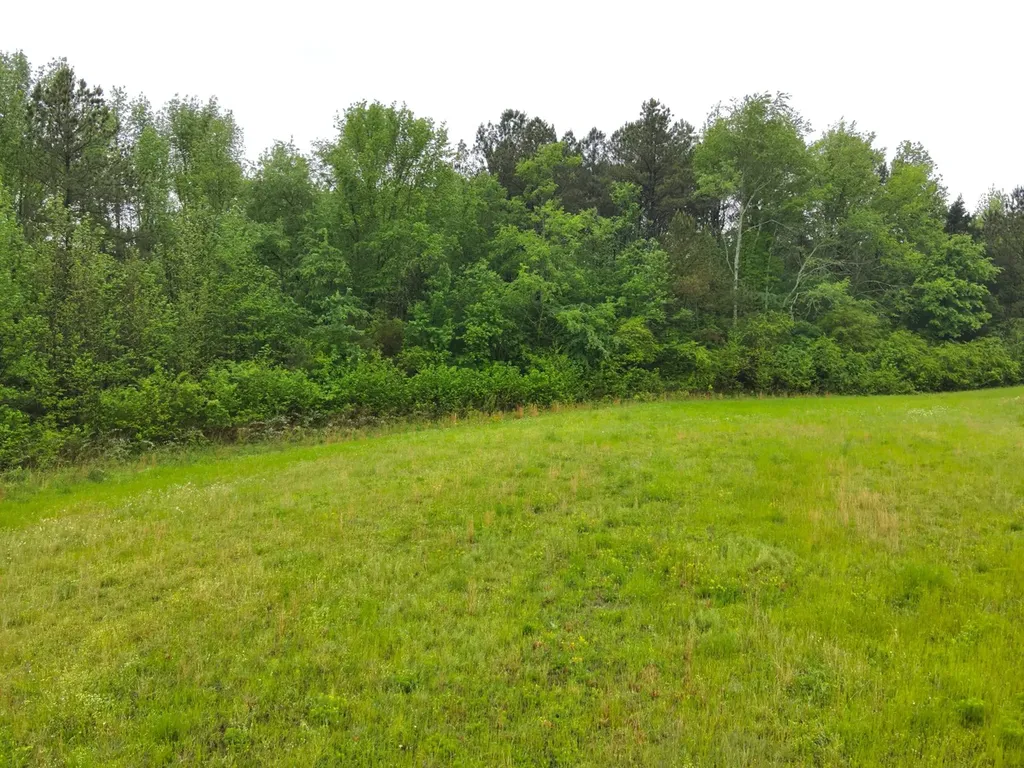 9610 Wall Triana Highway Harvest AL 35749