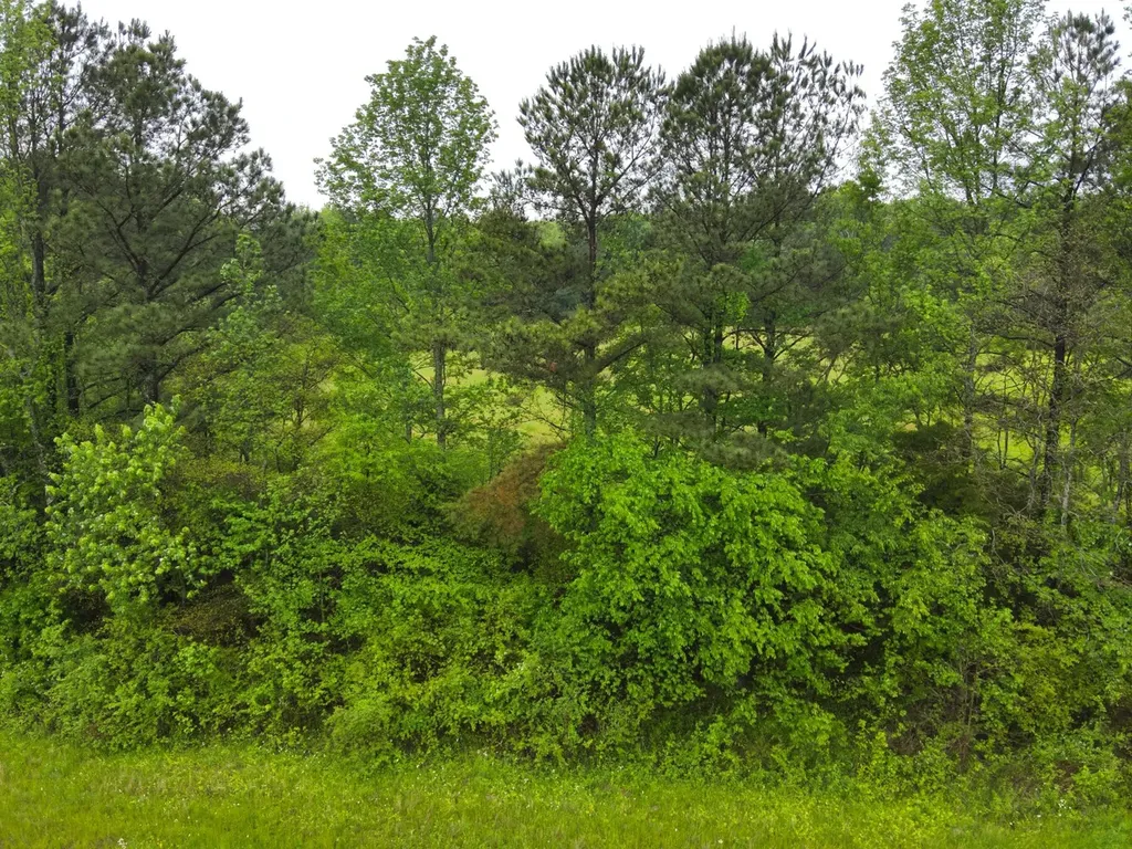 9610 Wall Triana Highway Harvest AL 35749