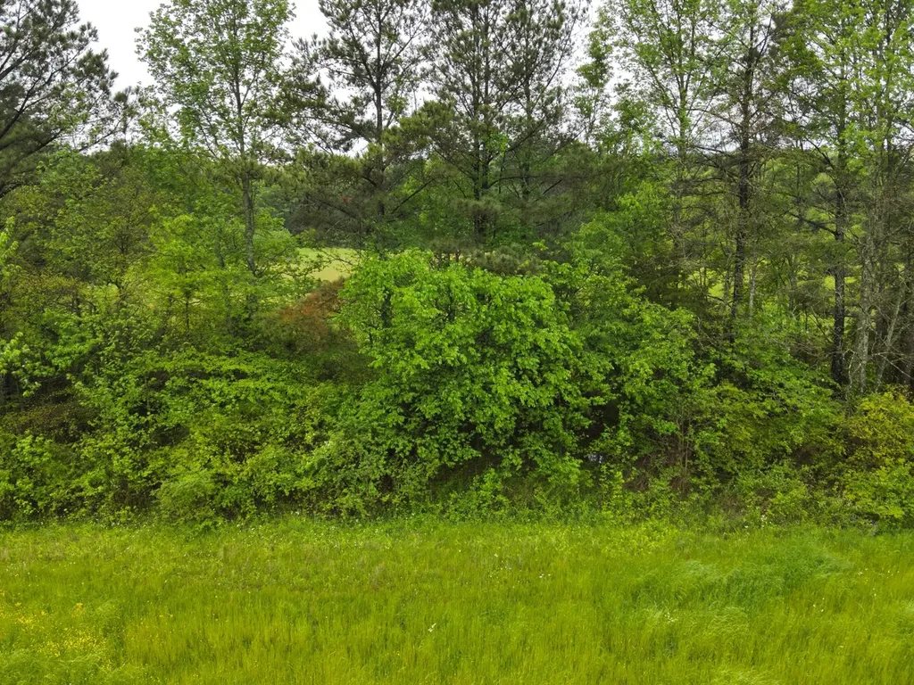 9610 Wall Triana Highway Harvest AL 35749