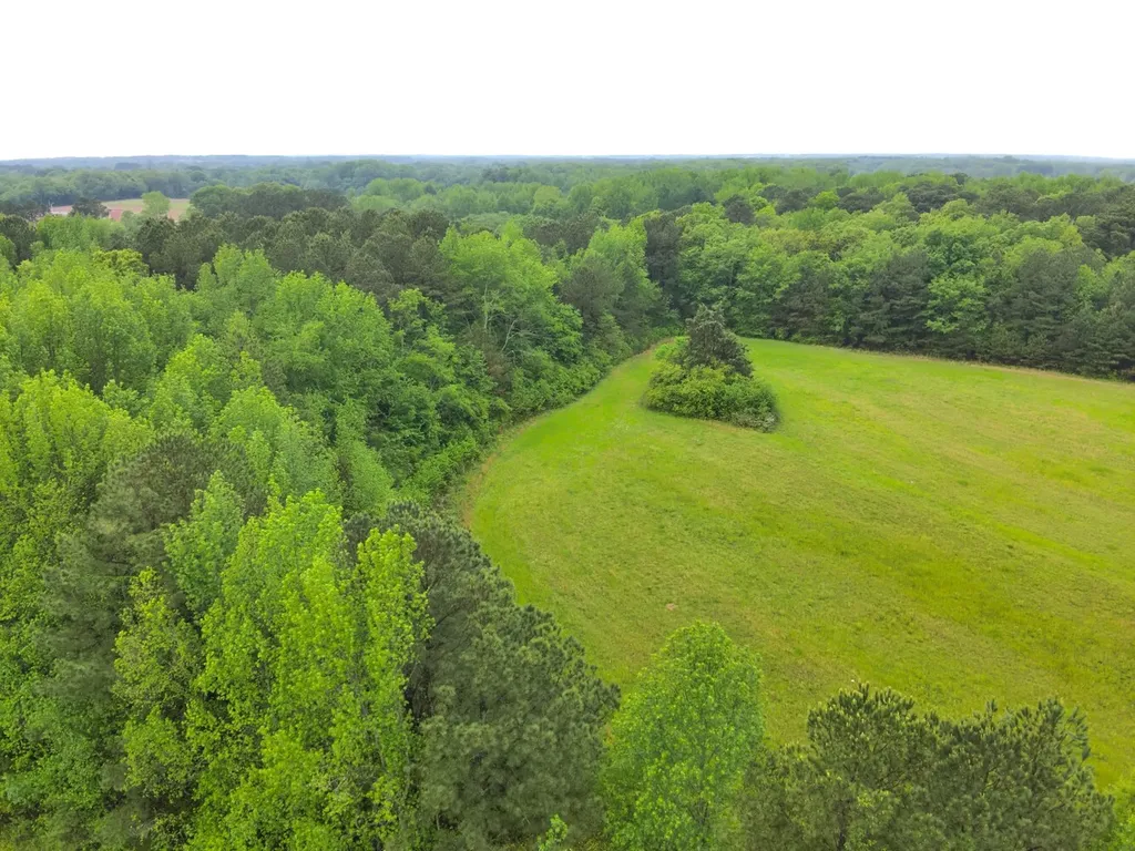 9610 Wall Triana Highway Harvest AL 35749