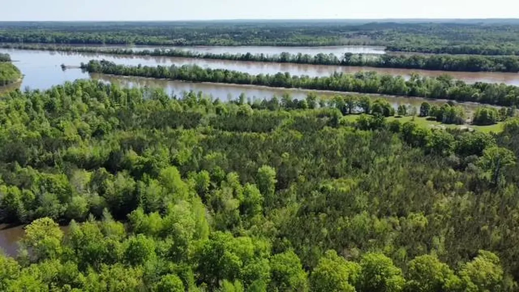 1864 Cove Lake Drive Camden AL 36726