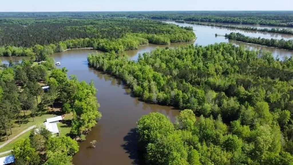 1864 Cove Lake Drive Camden AL 36726