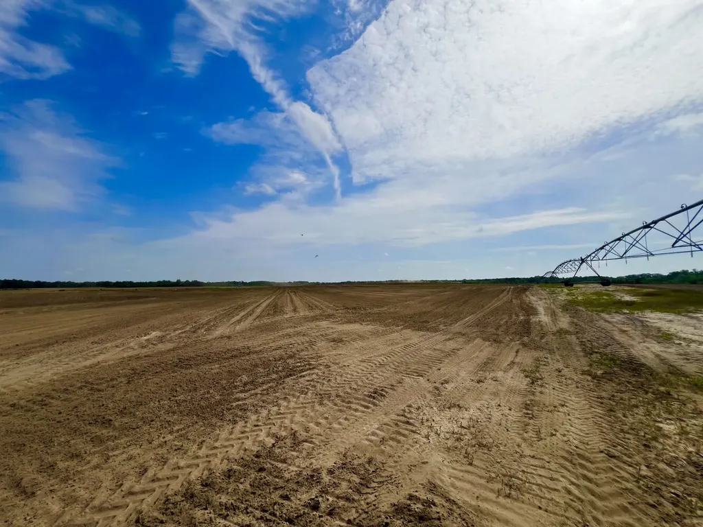 0 County Road 28 Slocomb AL 36375