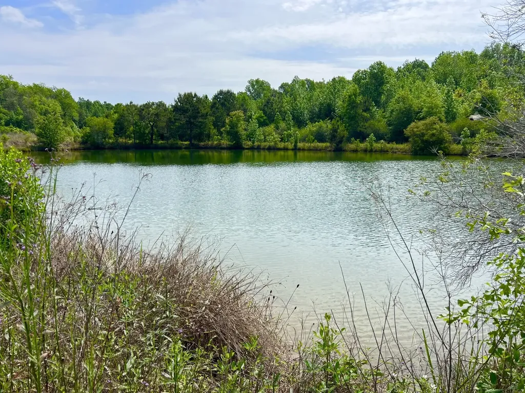 0 County Road 28 Slocomb AL 36375