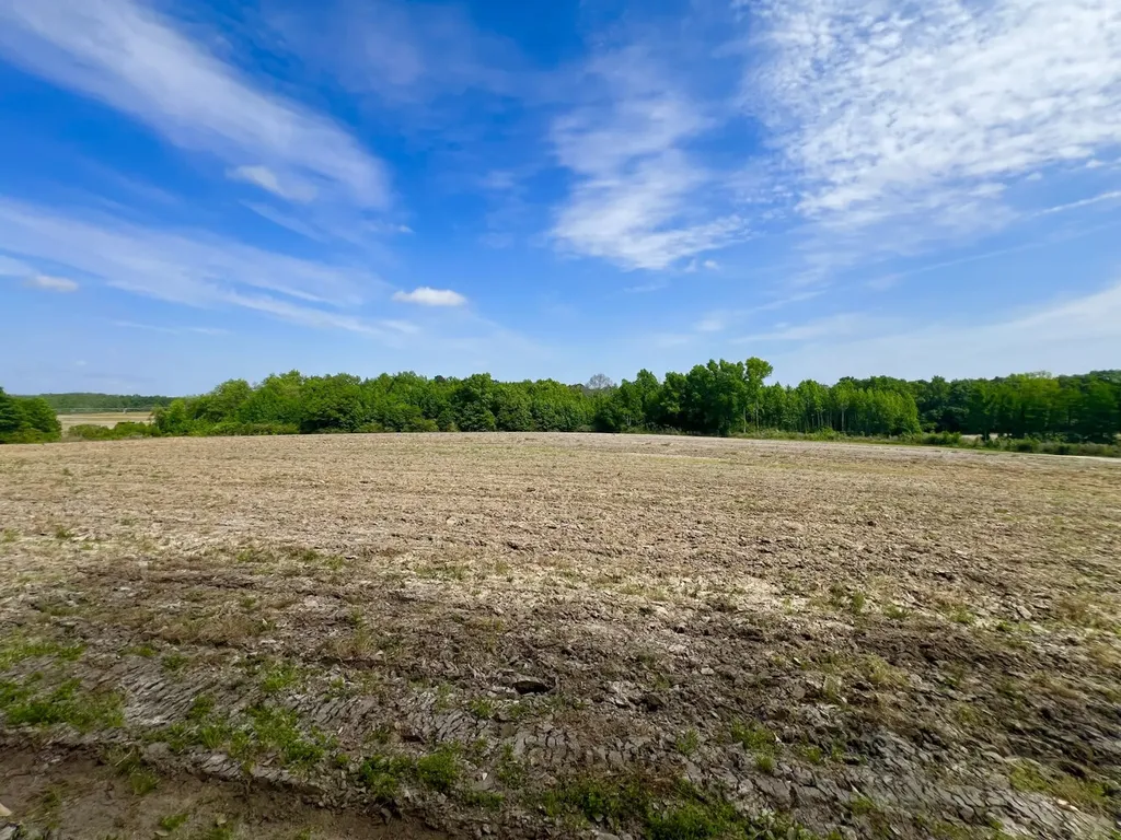 0 County Road 28 Slocomb AL 36375