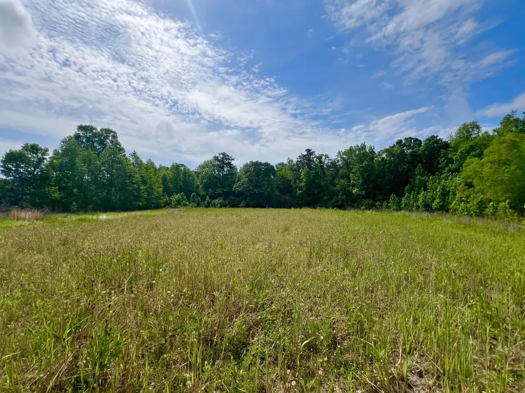 0 County Road 28 Slocomb AL 36375