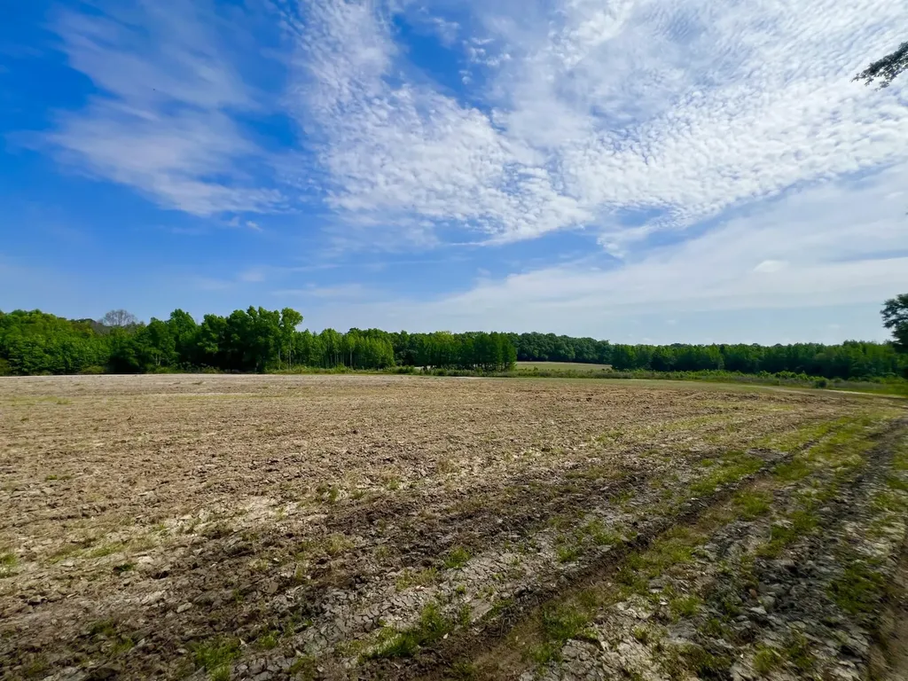 0 County Road 28 Slocomb AL 36375