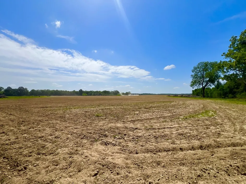 0 County Road 28 Slocomb AL 36375