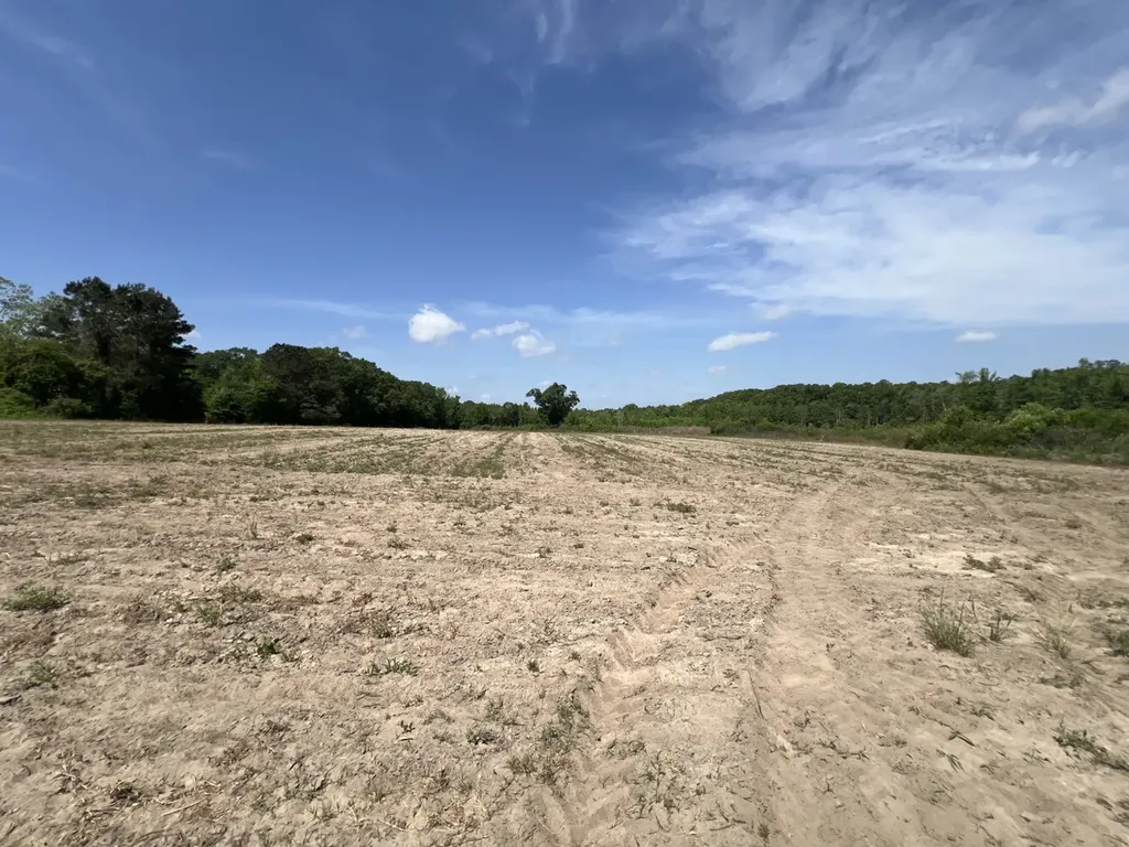 0 County Road 28 Slocomb AL 36375