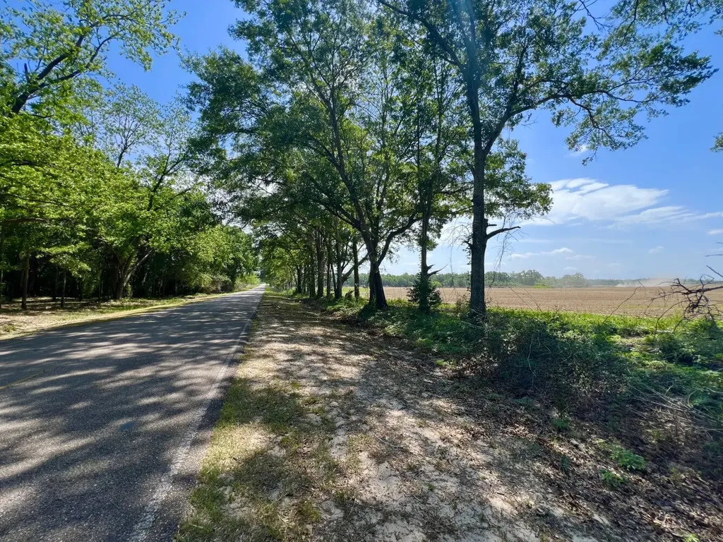0 County Road 28 Slocomb AL 36375
