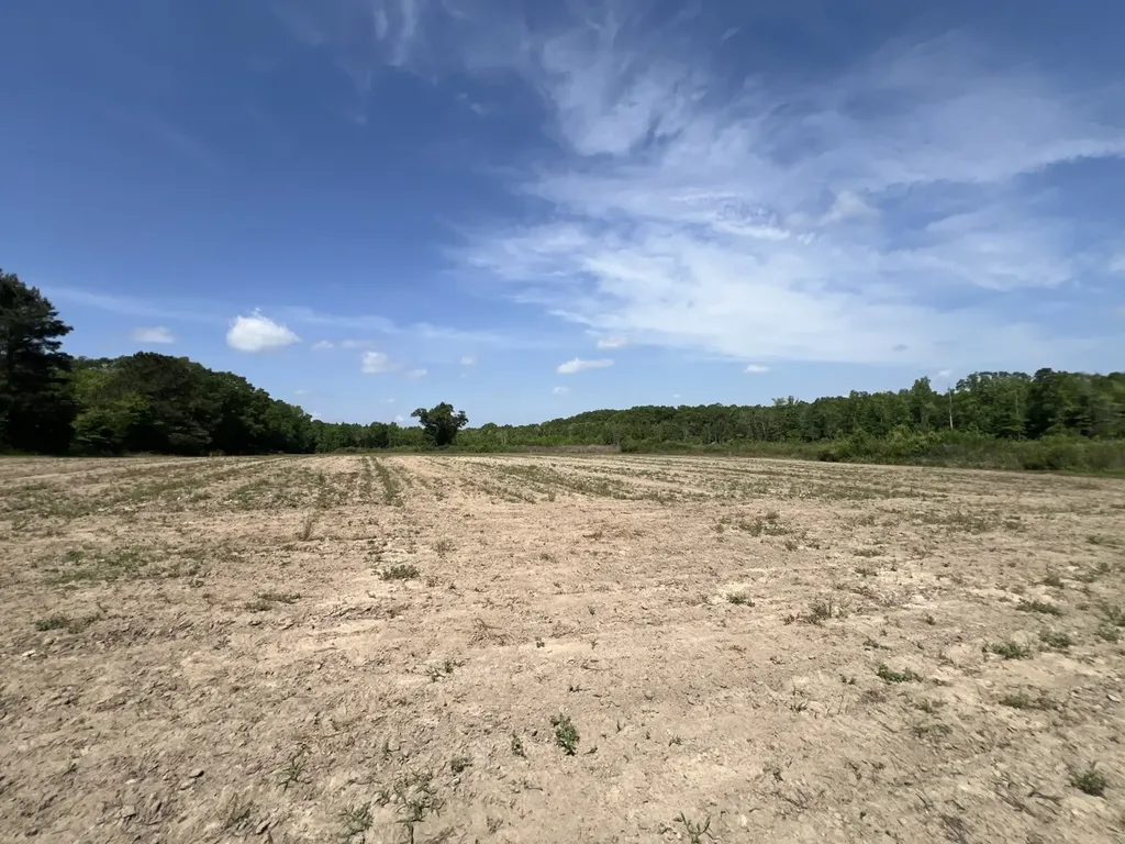 0 County Road 28 Slocomb AL 36375