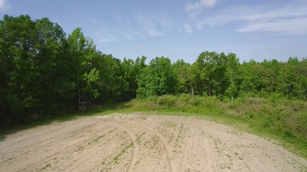 0 County Road 28 Slocomb AL 36375