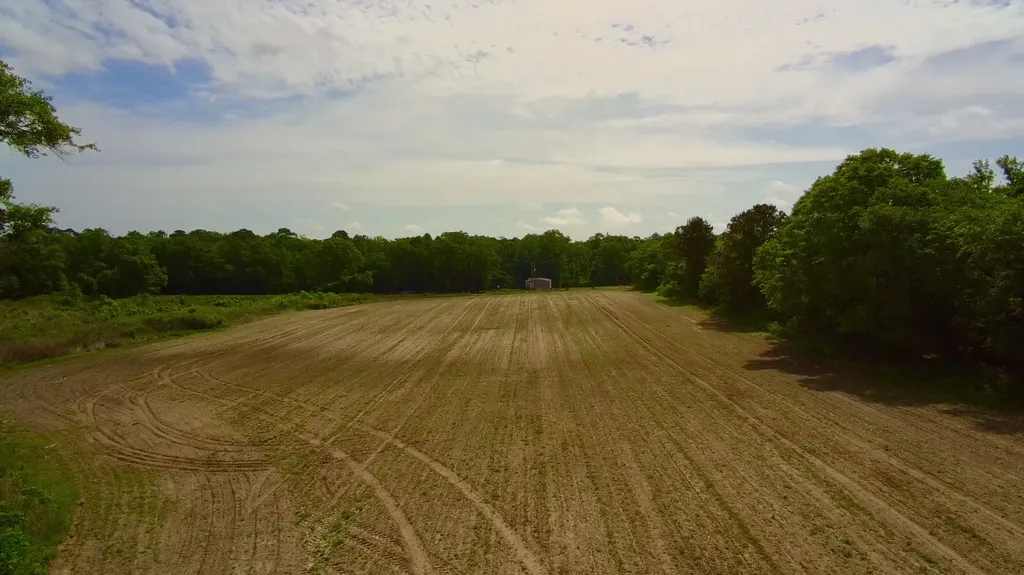 0 County Road 28 Slocomb AL 36375