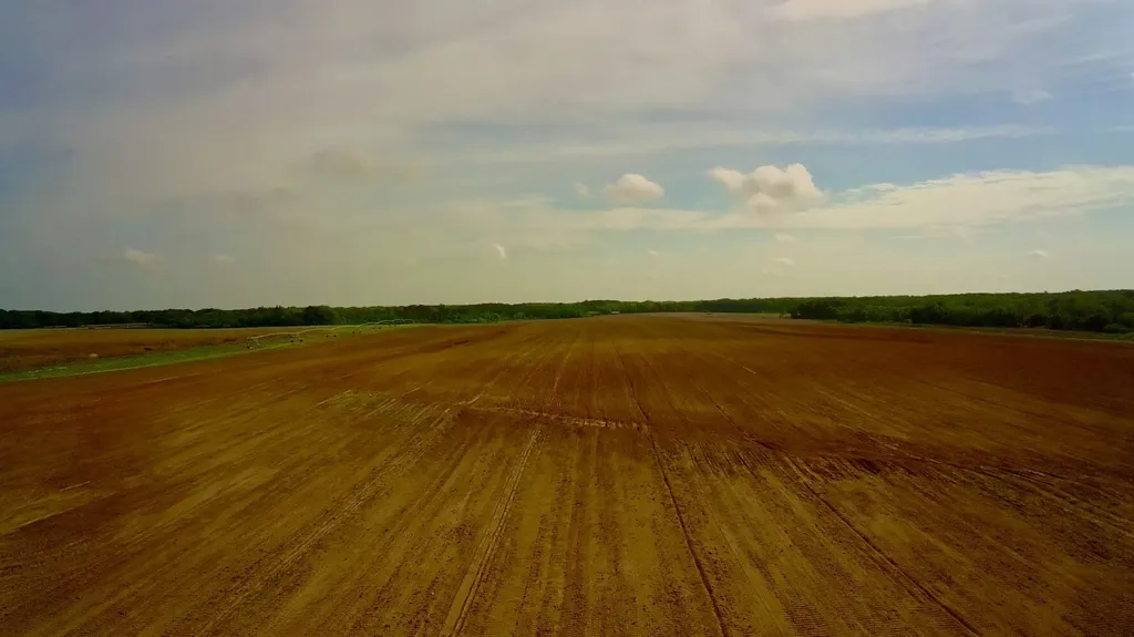 0 County Road 28 Slocomb AL 36375