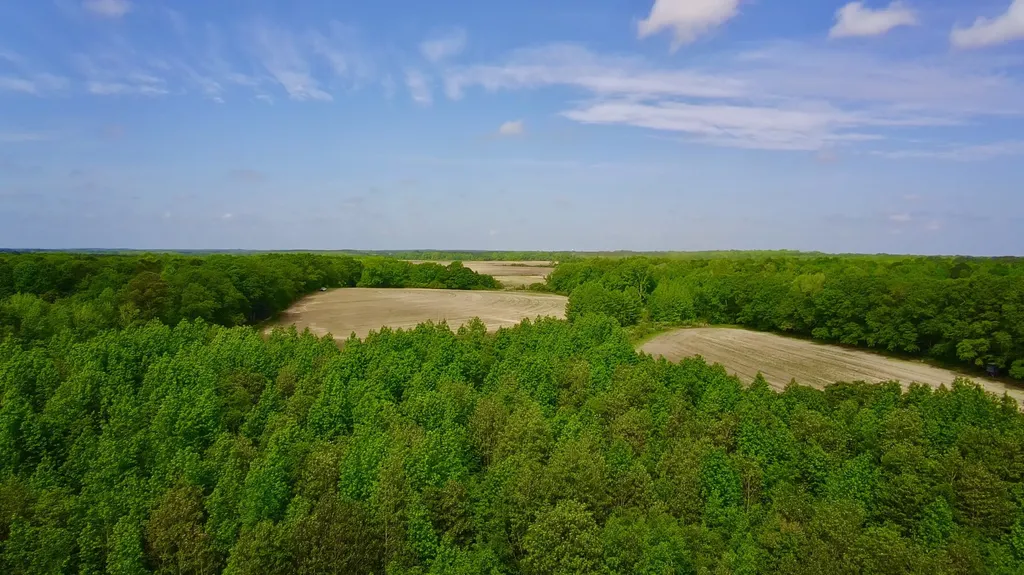 0 County Road 28 Slocomb AL 36375