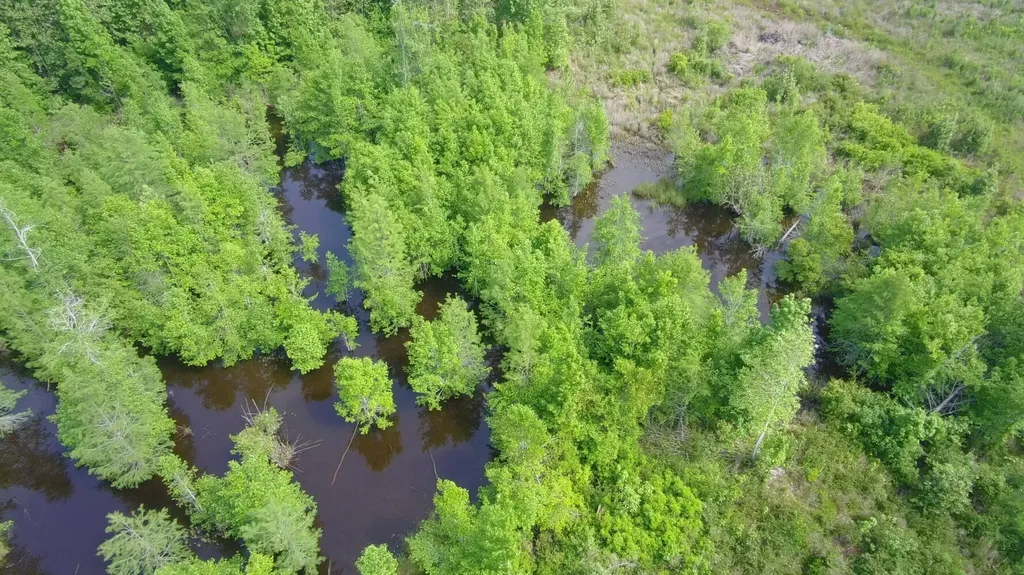 0 County Road 28 Slocomb AL 36375