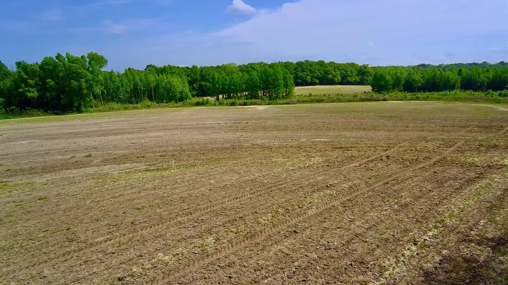 0 County Road 28 Slocomb AL 36375