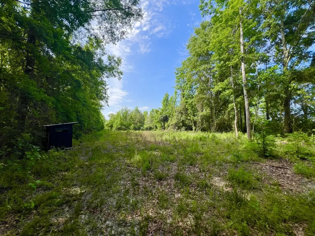 0 County Road 28 Slocomb AL 36375