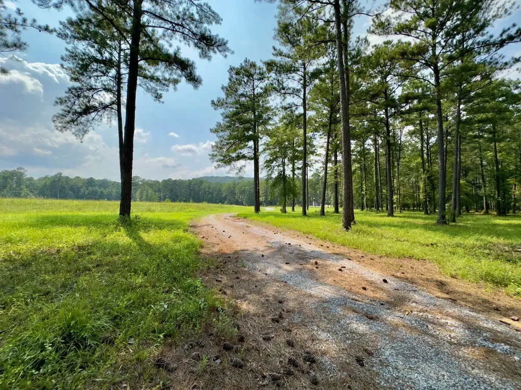 0 Highway 7 Wilsonville AL 35186