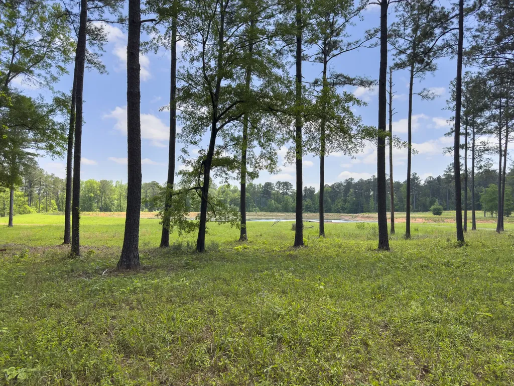 0 Highway 7 Wilsonville AL 35186